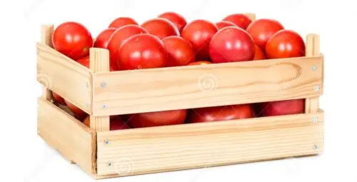 Tomate cajas aprox 28-30lbs
